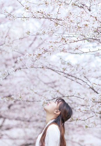 亚洲色爱影院无码